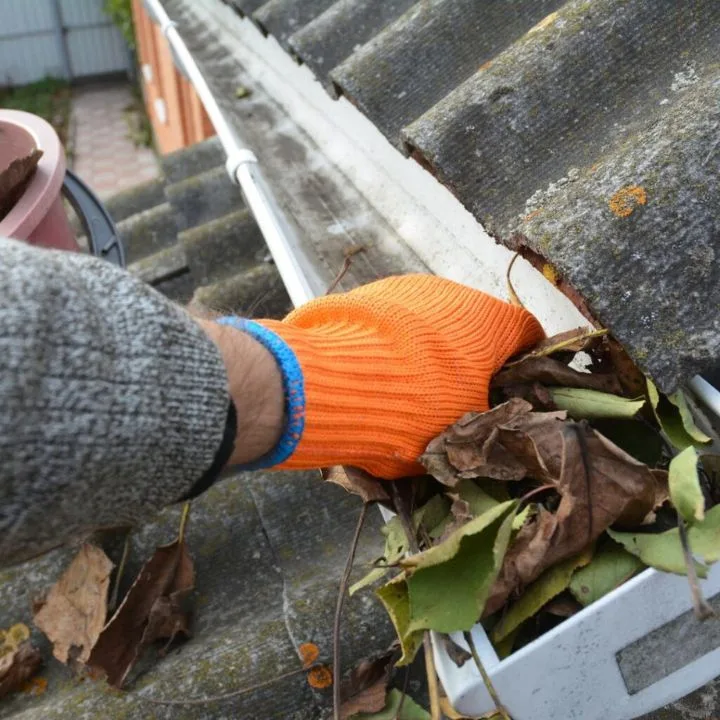 professional roof cleaning Caistor