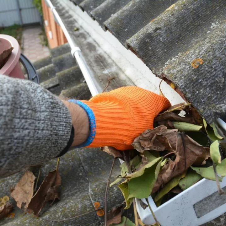 Immingham roof cleaning services